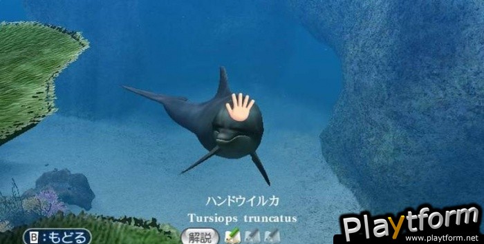 Endless Ocean (Wii)