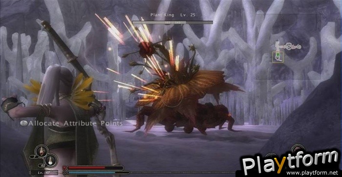Kingdom Under Fire: Circle of Doom (Xbox 360)