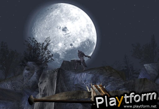 Shadow of the Sun (PlayStation 2)