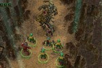 Stranger (PC)