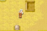 Harvest Moon DS Cute (DS)
