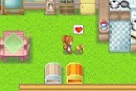 Harvest Moon DS Cute (DS)