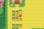 Harvest Moon DS Cute (DS)