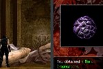 Ninja Gaiden Dragon Sword (DS)