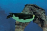 Fantasy Aquarium (DS)