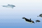 Fantasy Aquarium (DS)