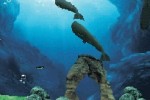 Fantasy Aquarium (DS)