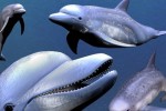 Fantasy Aquarium (DS)