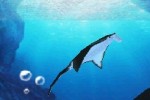 Fantasy Aquarium (DS)