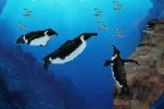Fantasy Aquarium (DS)