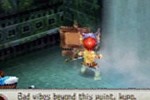 Final Fantasy Crystal Chronicles: Ring of Fates (DS)