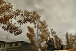 Field Ops (PC)