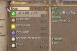 Dungeon Explorer: Warriors of Ancient Arts (PSP)