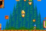 New Zealand Story Revolution (DS)