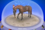 My Horse & Me (Wii)