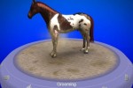 My Horse & Me (Wii)