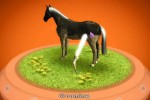 My Horse & Me (Wii)