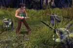 The Spiderwick Chronicles (Wii)