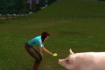 Farm Vet (PC)