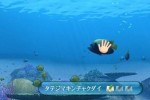 Endless Ocean (Wii)