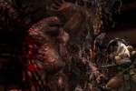 Kingdom Under Fire: Circle of Doom (Xbox 360)