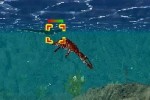 Sea Monsters: A Prehistoric Adventure (DS)