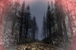 Shadow of the Sun (PlayStation 2)