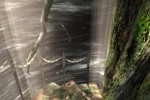 Shadow of the Sun (PlayStation 2)