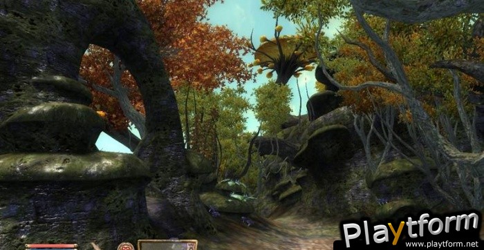The Elder Scrolls IV: Shivering Isles (PlayStation 3)