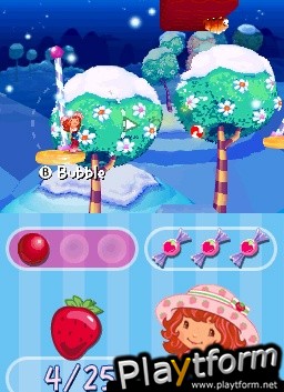 Strawberry Shortcake: The Four Seasons Cake (DS)
