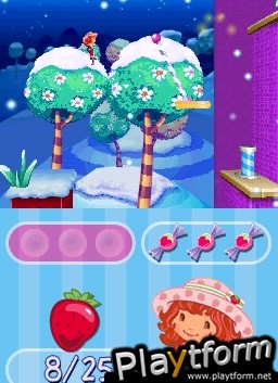 Strawberry Shortcake: The Four Seasons Cake (DS)