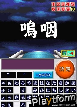 Nep League DS (DS)
