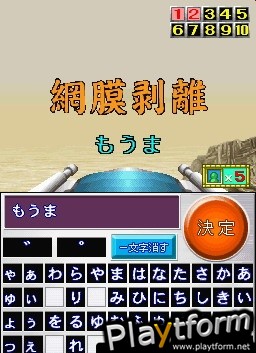 Nep League DS (DS)