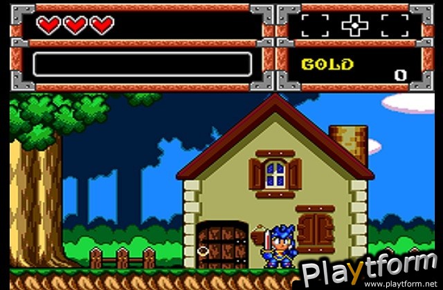 The Dynastic Hero (Wii)