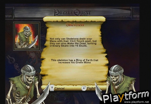Puzzle Quest: Challenge of the Warlords (Wii)