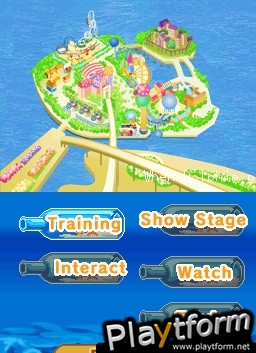My Pet Dolphin (DS)