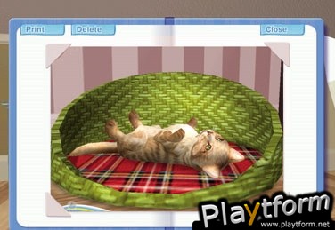 Petz: Catz 2 (PC)