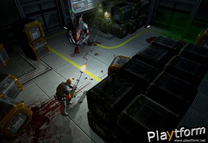 Shadowgrounds Survivor (PC)