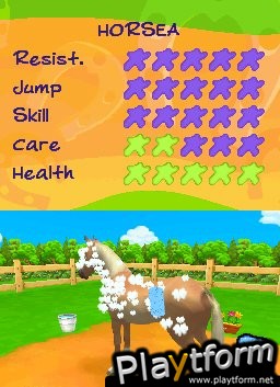 Petz: Horsez 2 (DS)