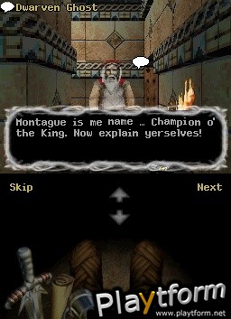 Orcs & Elves (DS)