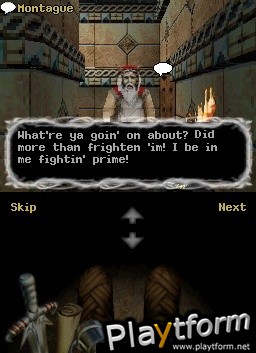 Orcs & Elves (DS)