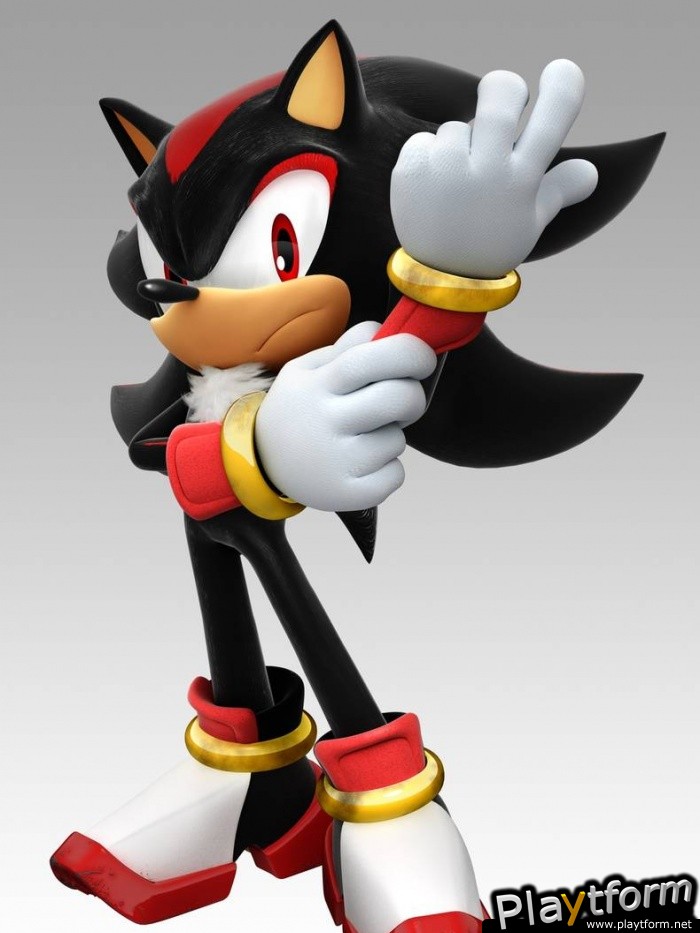 Mario & Sonic at the Olympic Games (Wii)