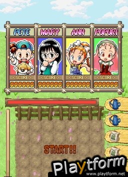 Puzzle de Harvest Moon (DS)