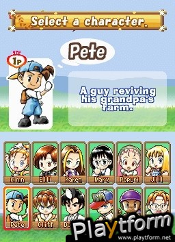 Puzzle de Harvest Moon (DS)