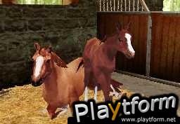 Horse Life (DS)