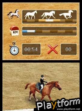 Horse Life (DS)