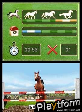 Horse Life (DS)