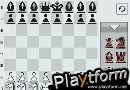 Chessmaster: The Art of Learning (DS)