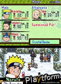 Naruto: Path of the Ninja (DS)