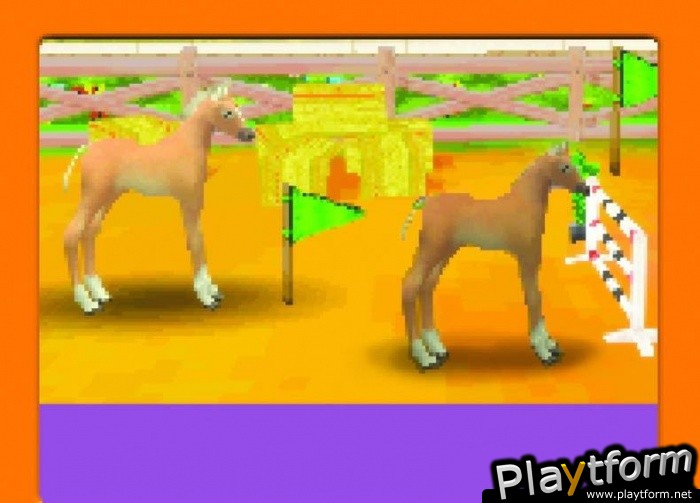 Imagine Animal Doctor (DS)